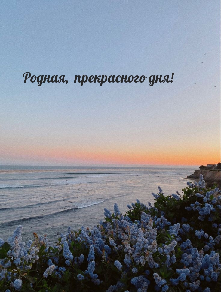 Картинка - Родная, прекрасного дня!.