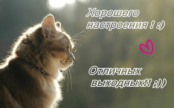 Хорошего настроения и отличных выходных!