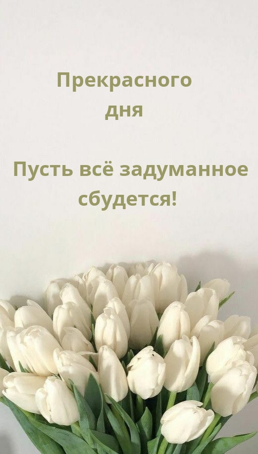Прекрасного дня Пусть всё задуманное сбудется!