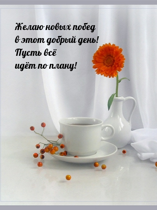 Желаю новых побед в этот добрый день! Пусть всё идёт по плану!