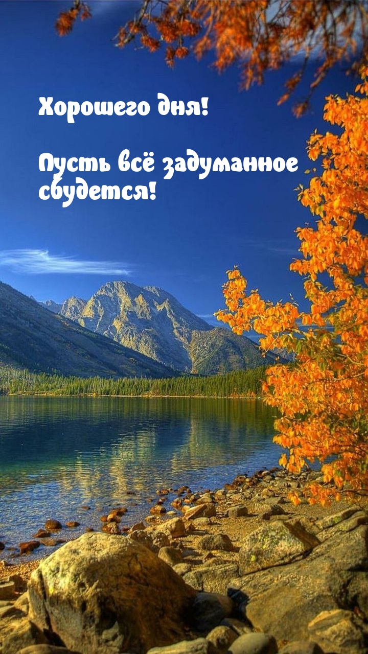 Хорошего дня! Пусть всё задуманное сбудется!