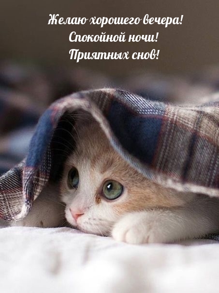 Картинка - Желаю хорошего вечера! Спокойной ночи! Приятных снов!.
