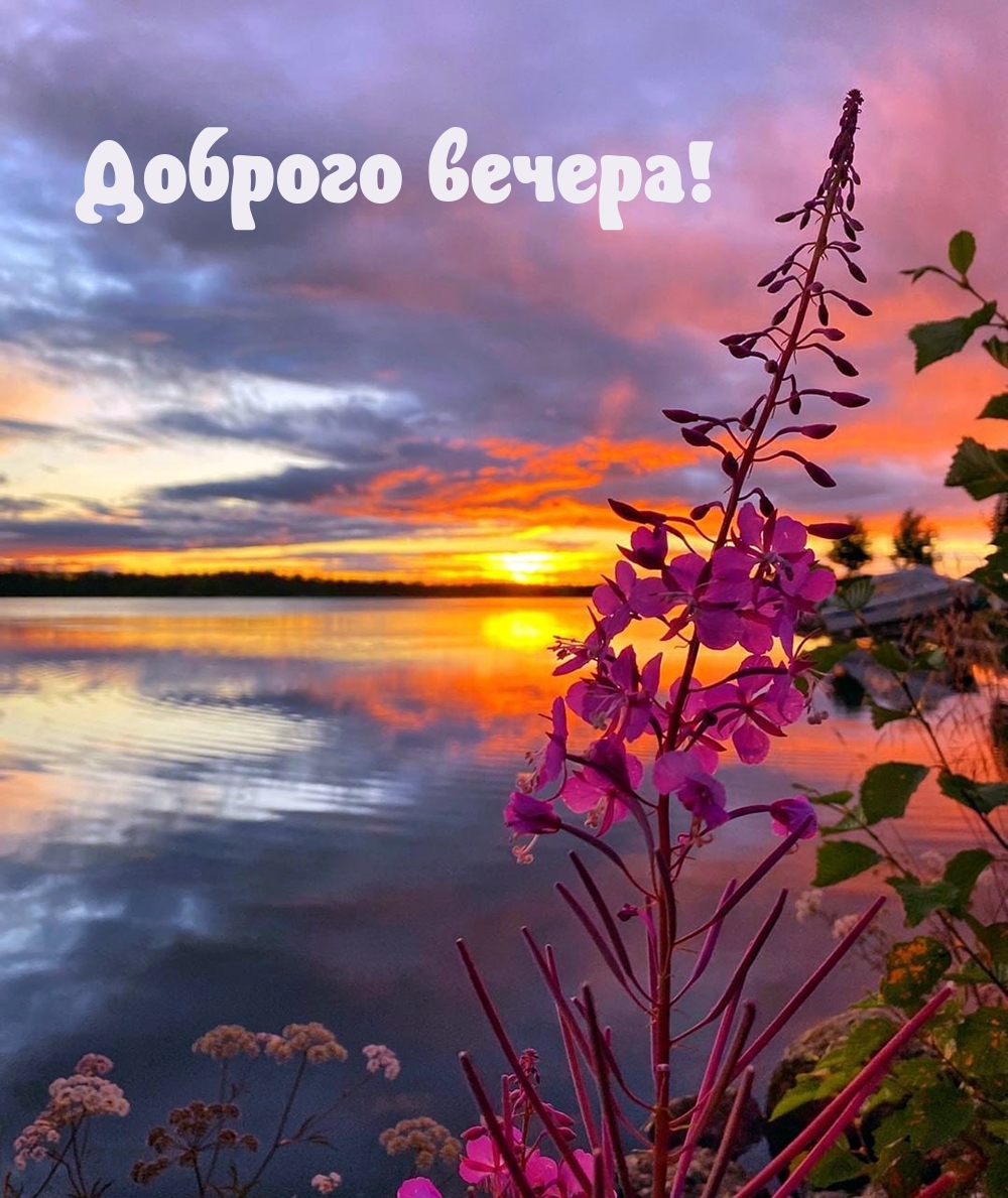 Доброго вечера!