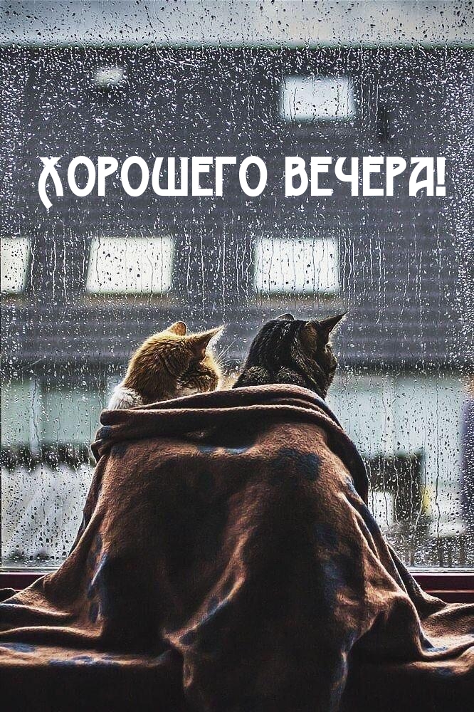Хорошего вечера!