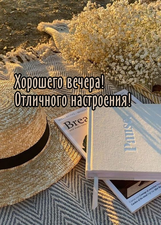 Хорошего вечера! Отличного настроения!