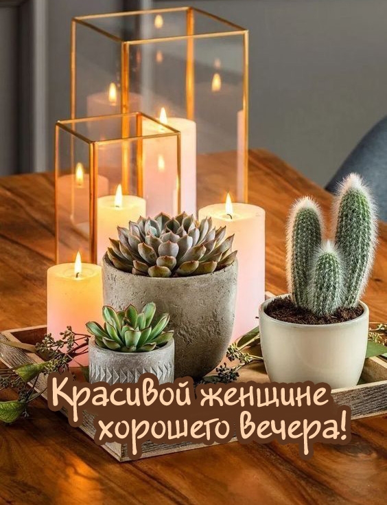 Красивой женщине хорошего вечера!