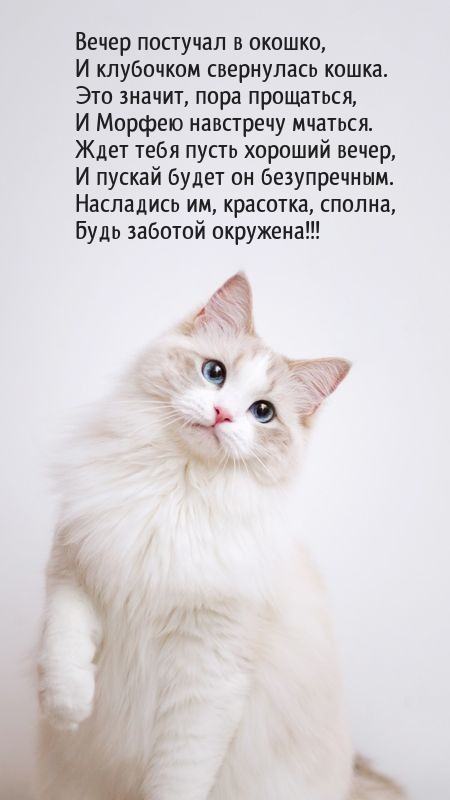 Ждет тебя пусть хороший вечер
