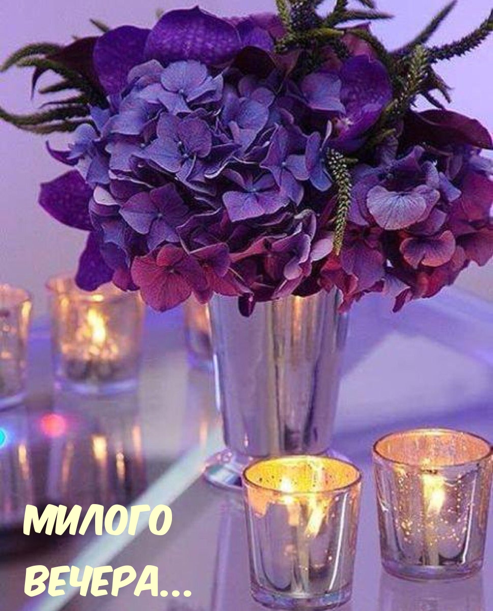 Милого Вечера…