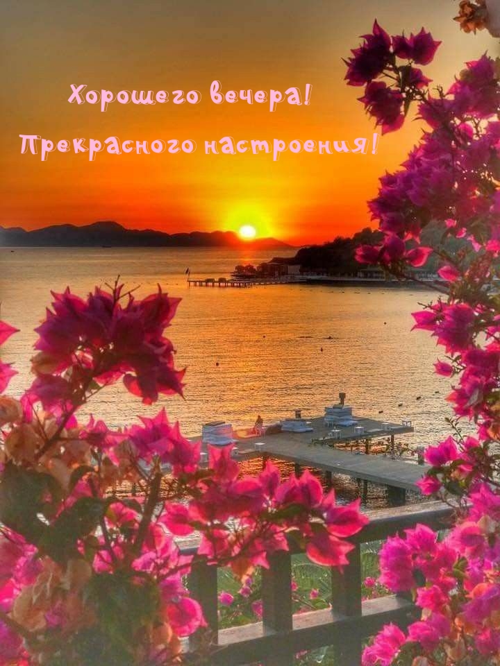 Хорошего вечера! Прекрасного настроения!