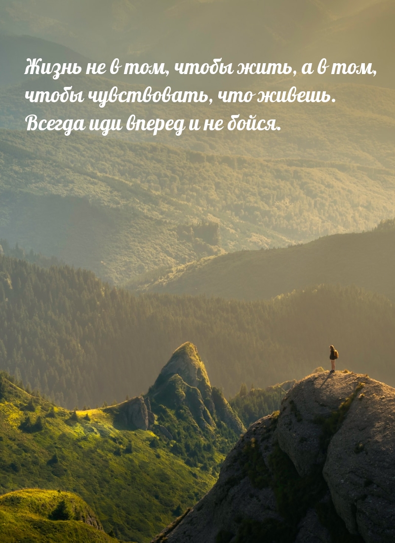 Жизнь не в том, чтобы жить, а в том, чтобы чувствовать, что живешь.