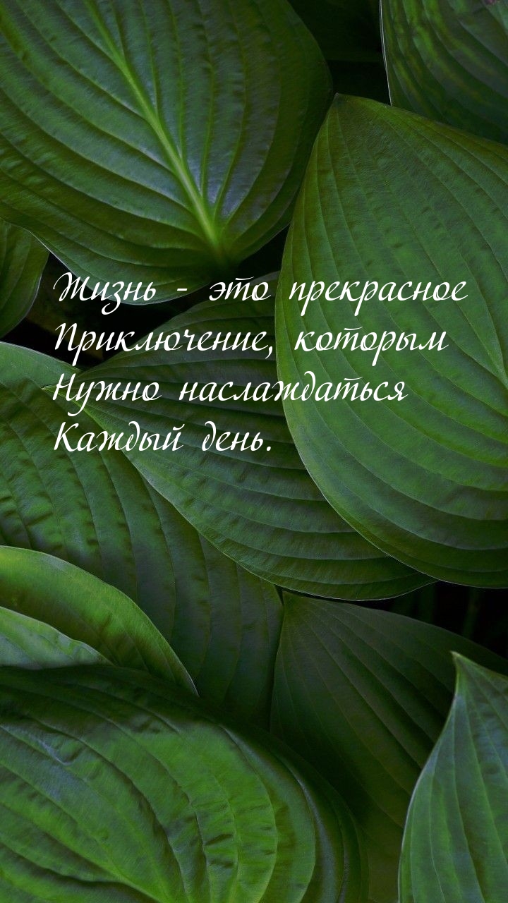 Жизнь — это прекрасное приключение, которым нужно наслаждаться