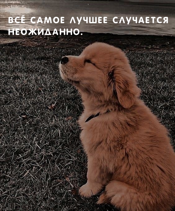 Всё самое лучшее случается неожиданно.