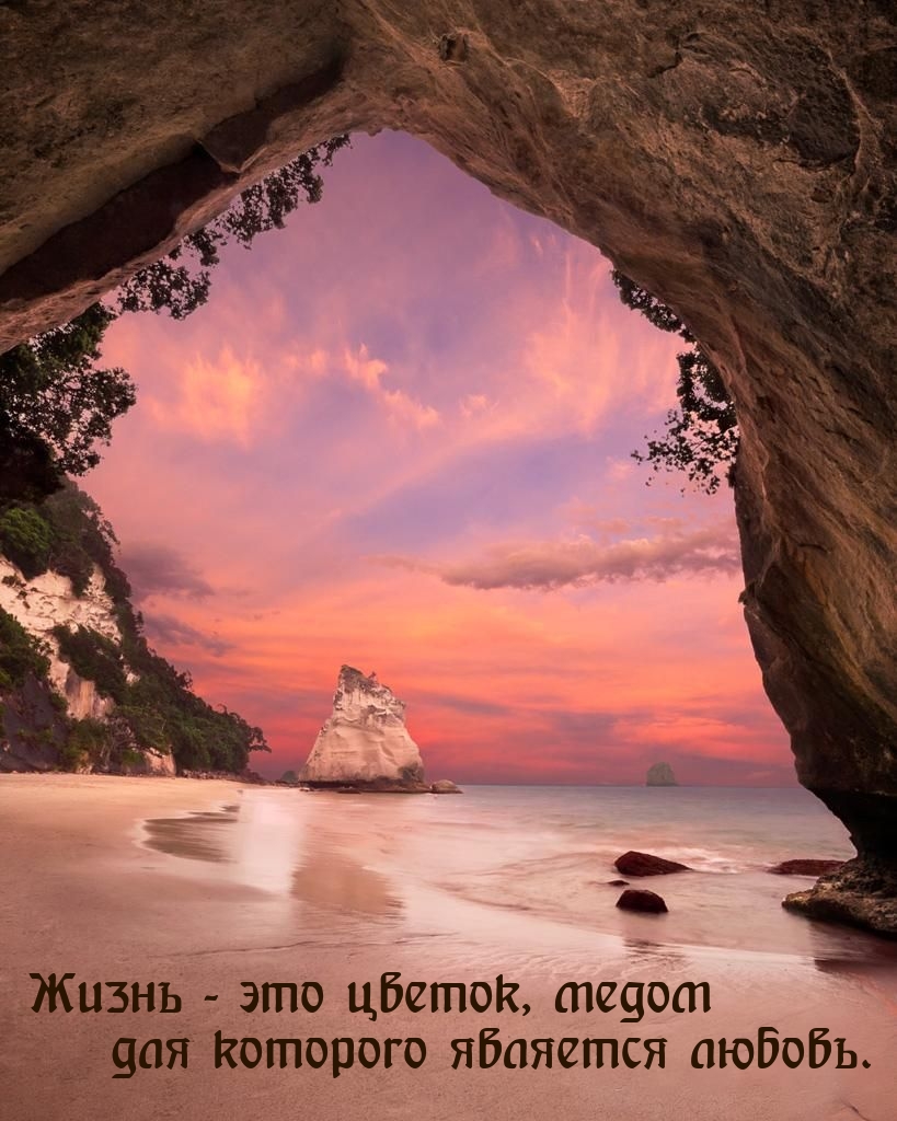 Жизнь — это цветок, медом для которого является любовь.