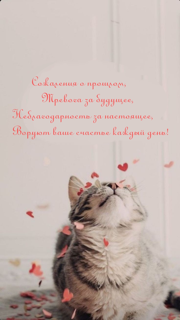 Сожаления, неблагодарность, воруют ваше счастье каждый день!