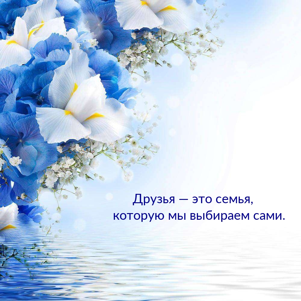 Друзья — это семья, которую мы выбираем сами.
