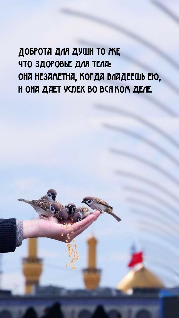 Доброта для души то же, что здоровье для тела