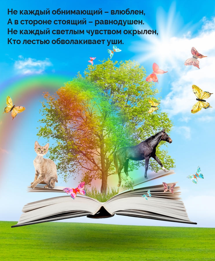 Не каждый обнимающий – влюблен, а в стороне стоящий – равнодушен.