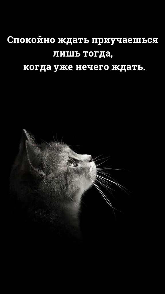 Спокойно ждать приучаешься лишь тогда, когда уже нечего ждать.