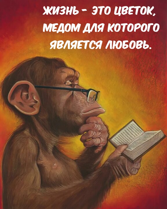 Жизнь — это цветок, медом для которого является любовь.
