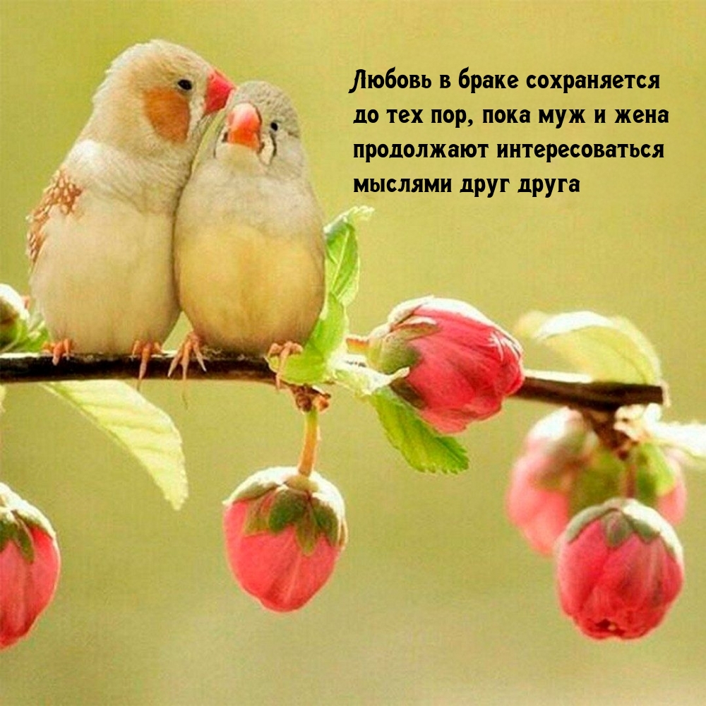 Любовь в браке сохраняется до тех пор, пока муж и жена