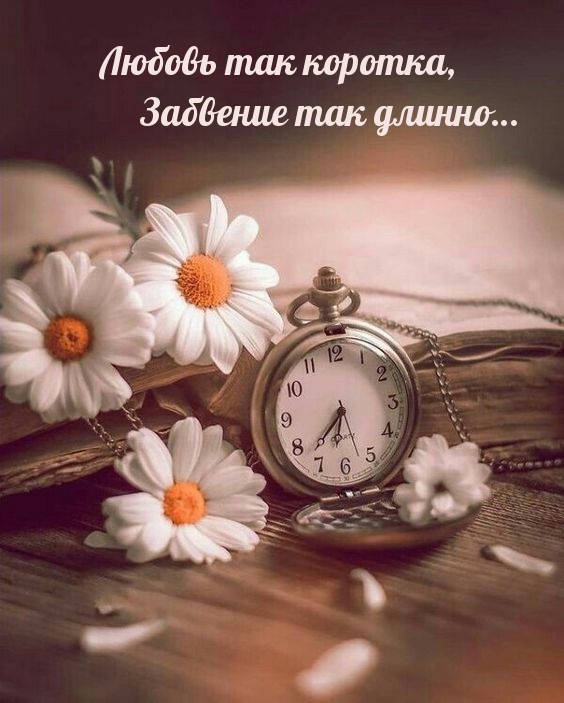 Любовь так коротка, забвение так длинно…