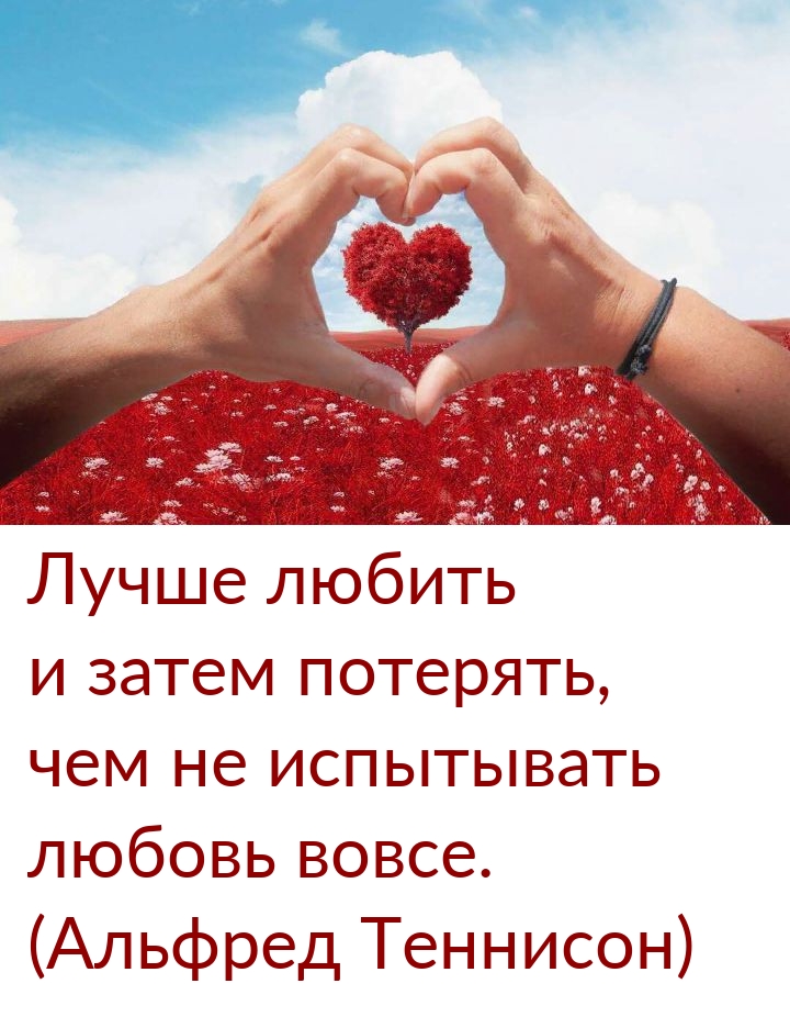 Лучше любить и затем потерять, чем не испытывать любовь вовсе.