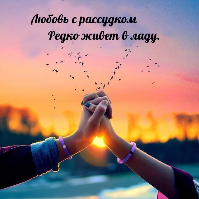 Любовь с рассудком редко живет в ладу.