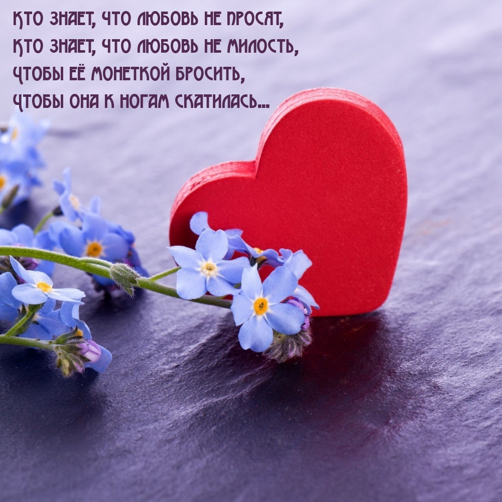 Кто знает, что любовь не просят, кто знает, что любовь не милость