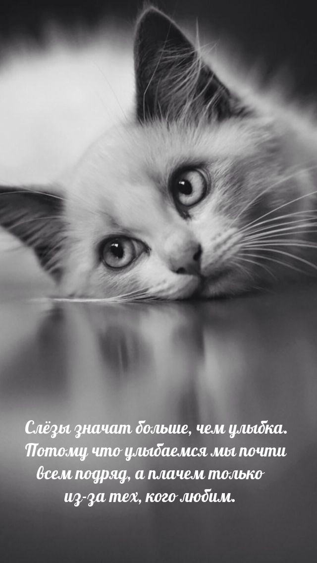 Слёзы значат больше, чем улыбка. Улыбаемся мы почти всем подряд