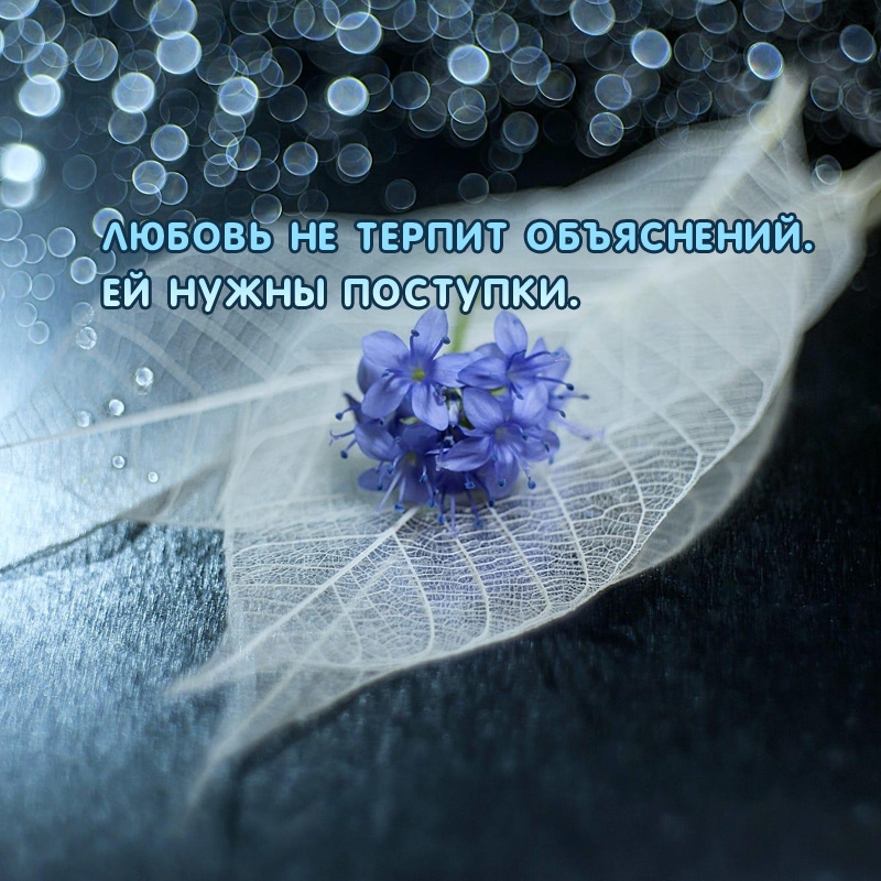 Любовь не терпит объяснений. Ей нужны поступки.
