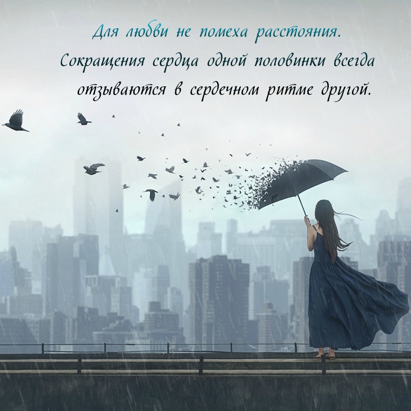 Для любви не помеха расстояния. Сокращения сердца одной половинки