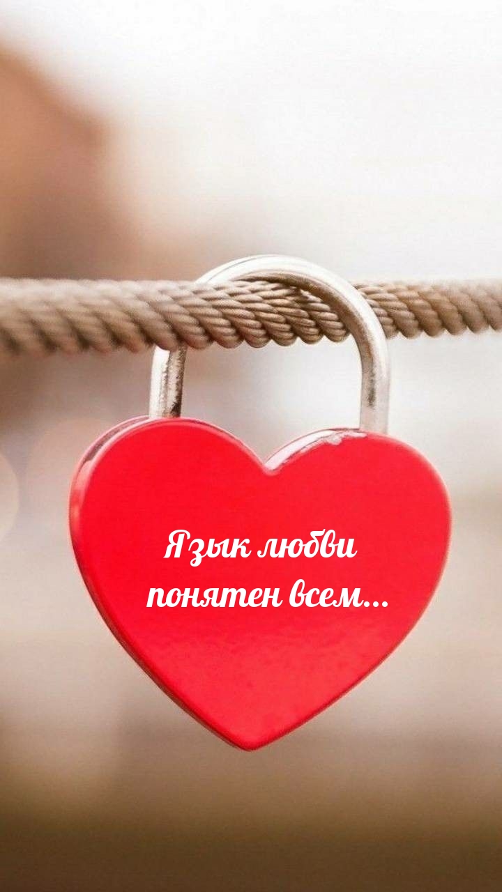 Язык любви понятен всем…