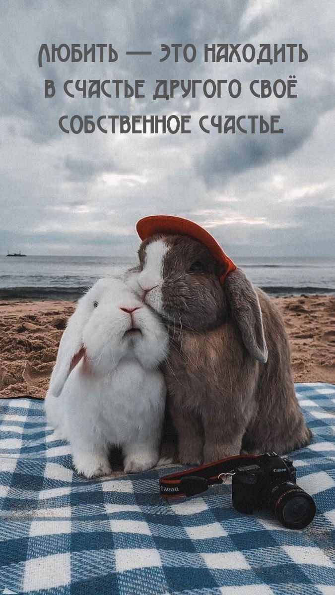 Любить — это находить в счастье другого своё собственное счастье.