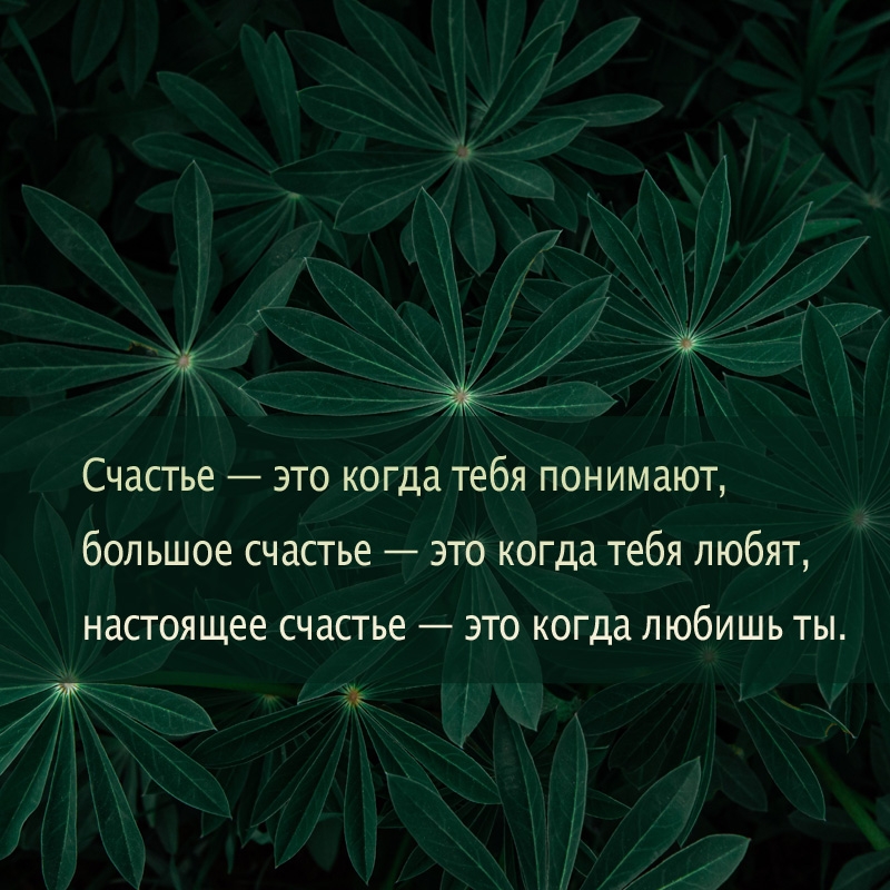 Счастье — это когда понимают, большое счастье — это когда любят