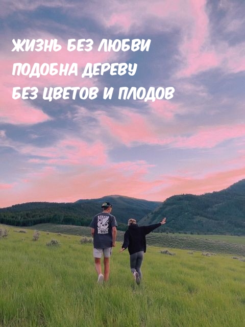 Жизнь без любви подобна дереву без цветов и плодов