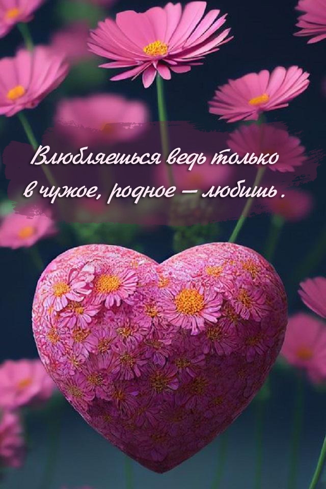 Влюбляешься ведь только в чужое, родное — любишь.