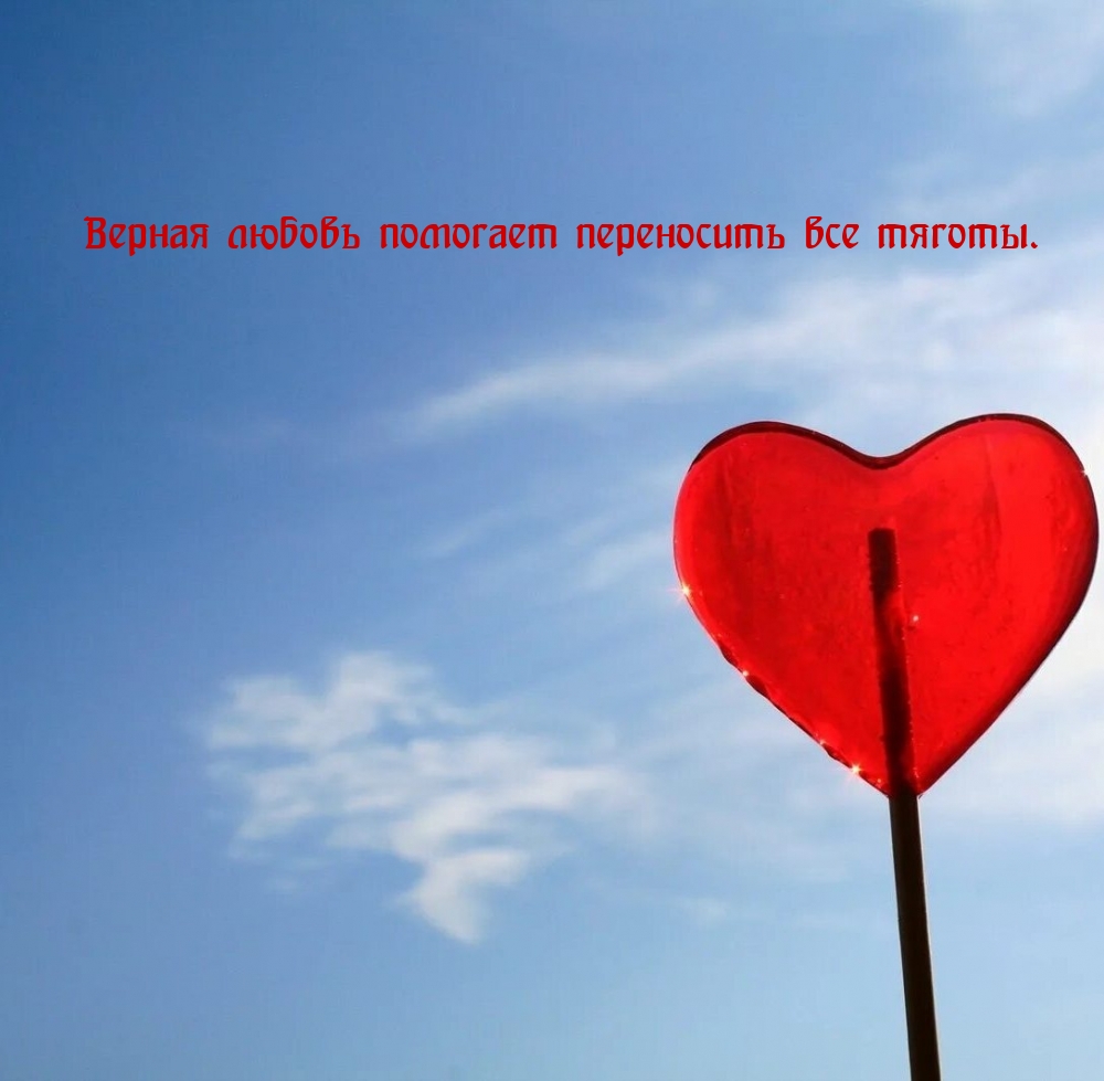 Верная любовь помогает переносить все тяготы.