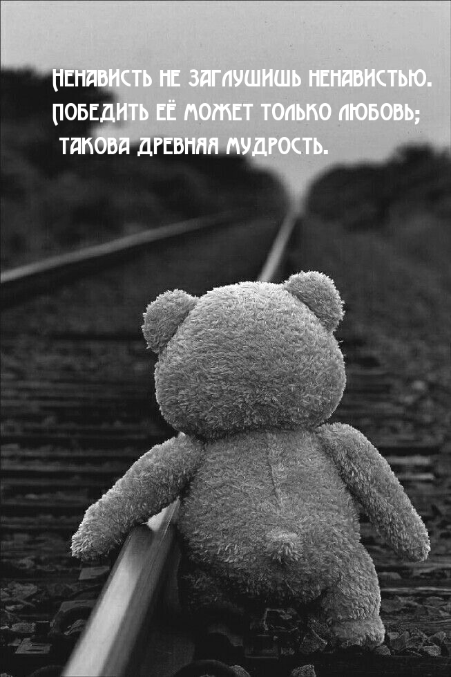 Победить ненависть может только любовь