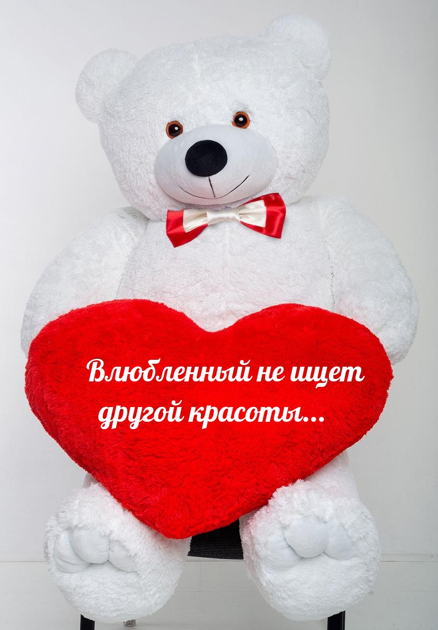 Влюбленный не ищет другой красоты…