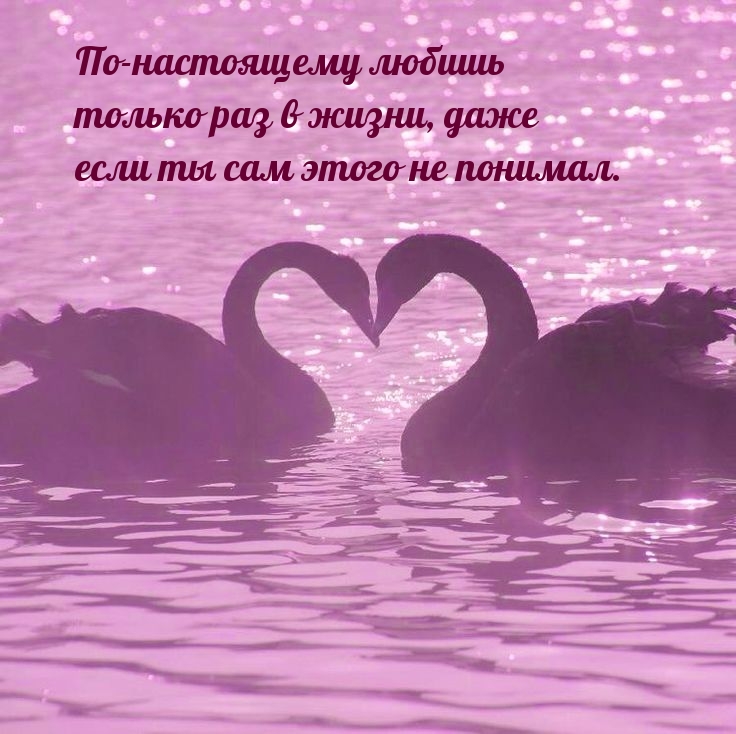 По-настоящему любишь только раз в жизни