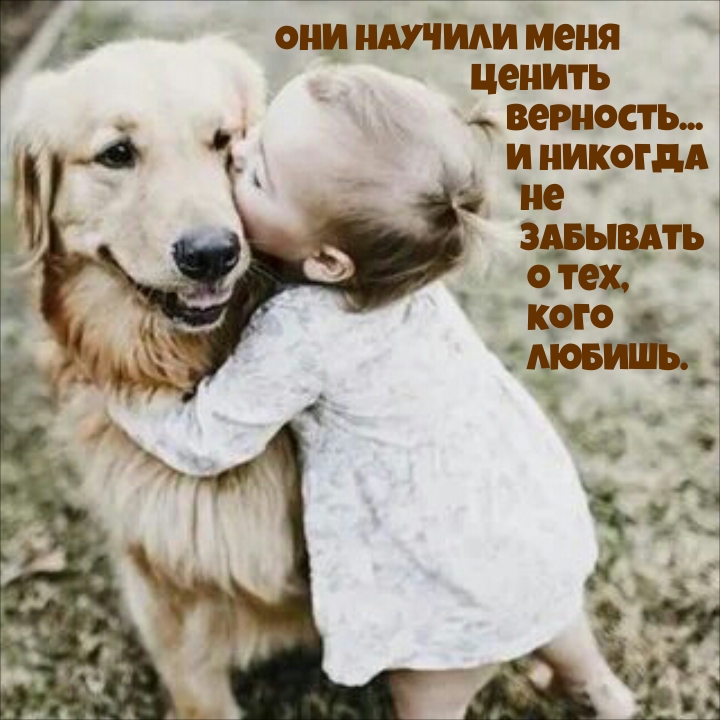 Они научили меня ценить верность… И не забывать о тех, кого любишь.