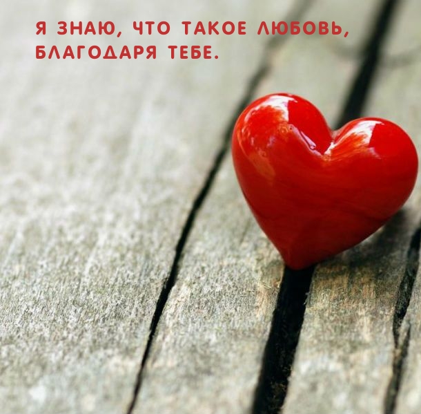 Я знаю, что такое любовь, благодаря тебе.