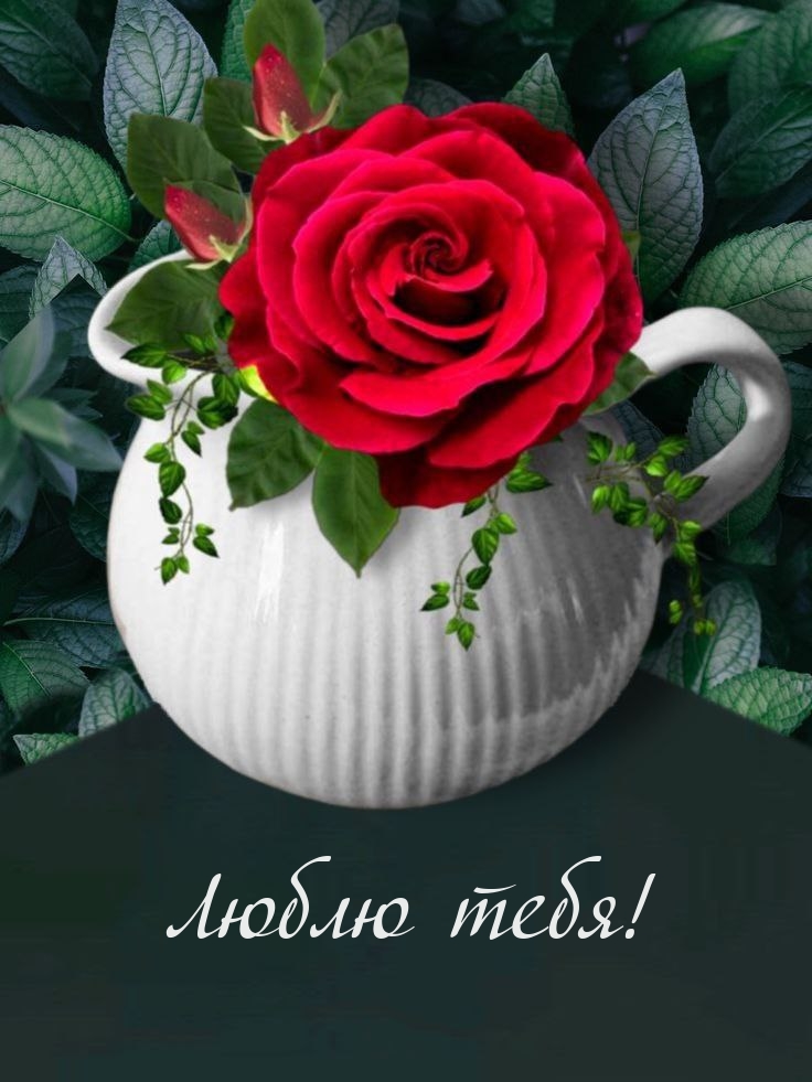 Люблю тебя!