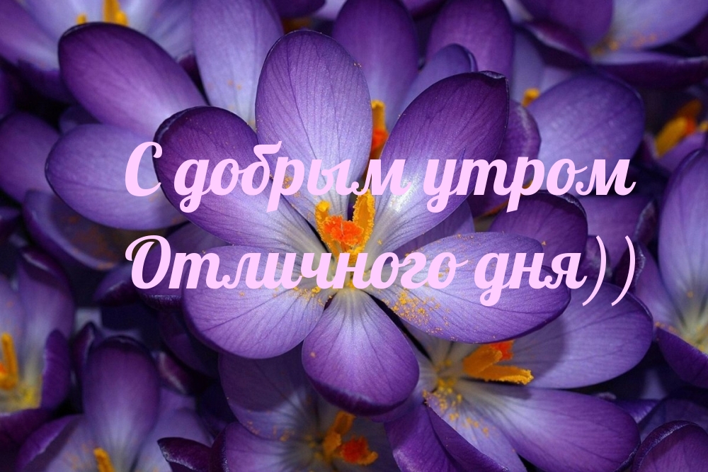 С добрым утром Отличного дня))