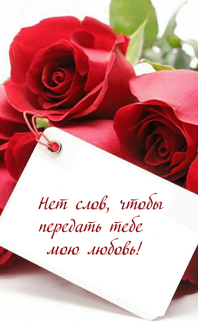 Нет слов, чтобы передать тебе мою любовь!