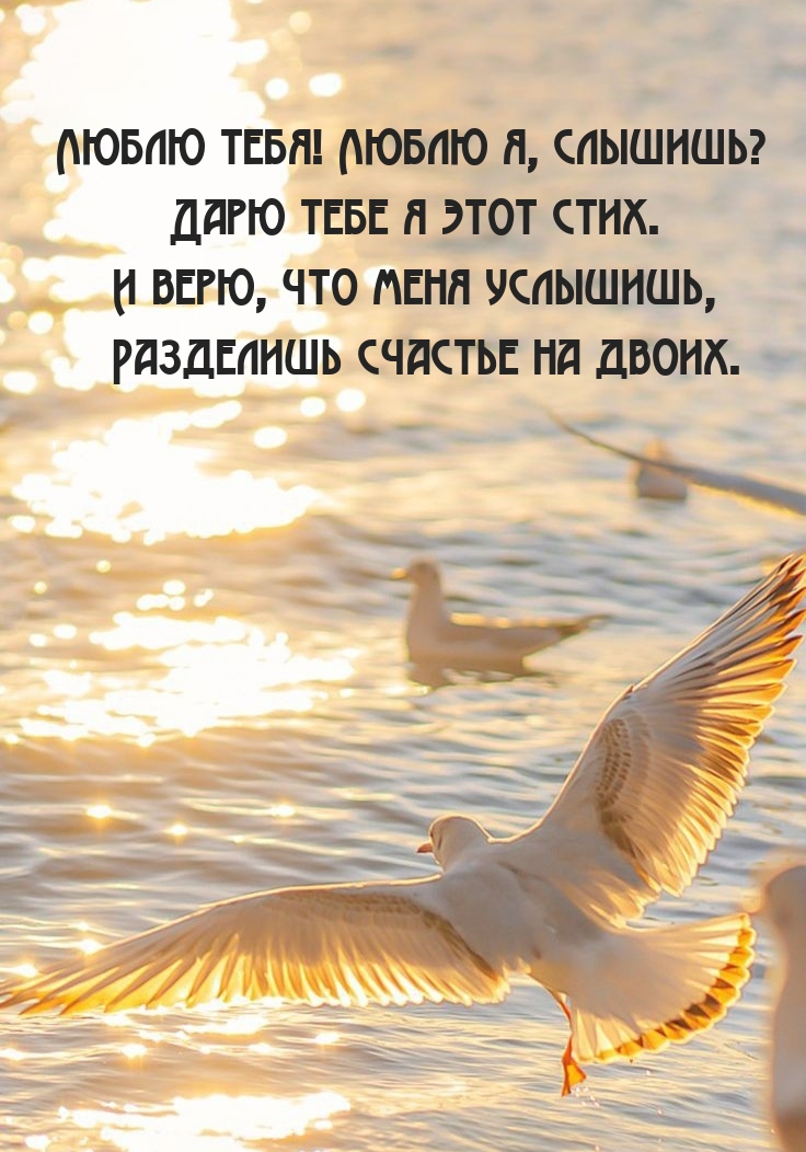 Люблю тебя! Люблю я, слышишь? Дарю тебе я этот стих.