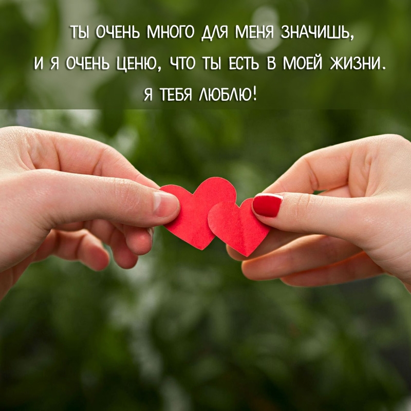 Я тебя люблю! Ты очень много для меня значишь, и я очень ценю