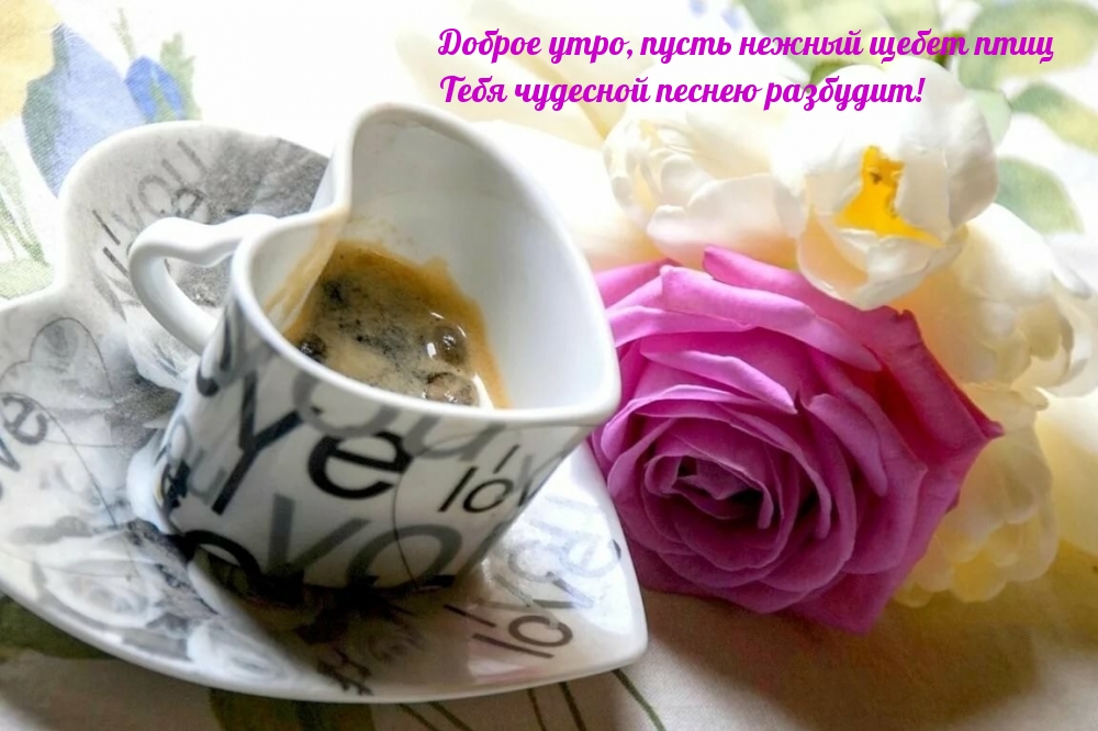 Доброе утро, пусть нежный щебет птиц тебя разбудит