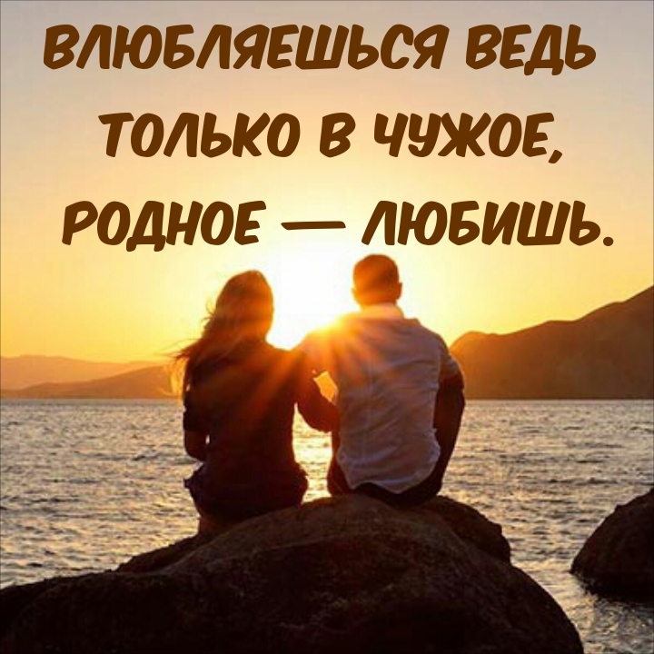 Влюбляешься ведь только в чужое, родное — любишь.