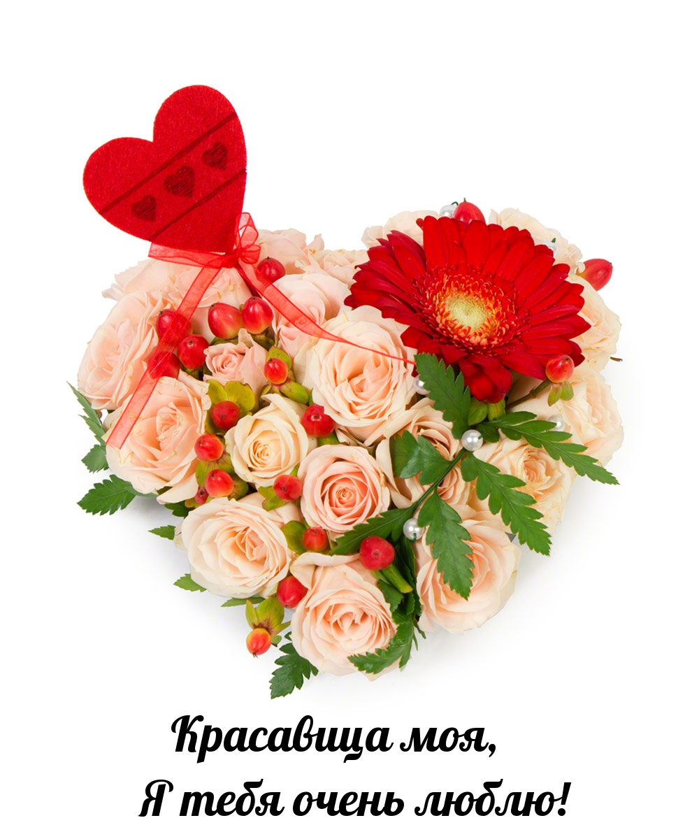 Картинка - Красавица моя, я тебя очень люблю!.